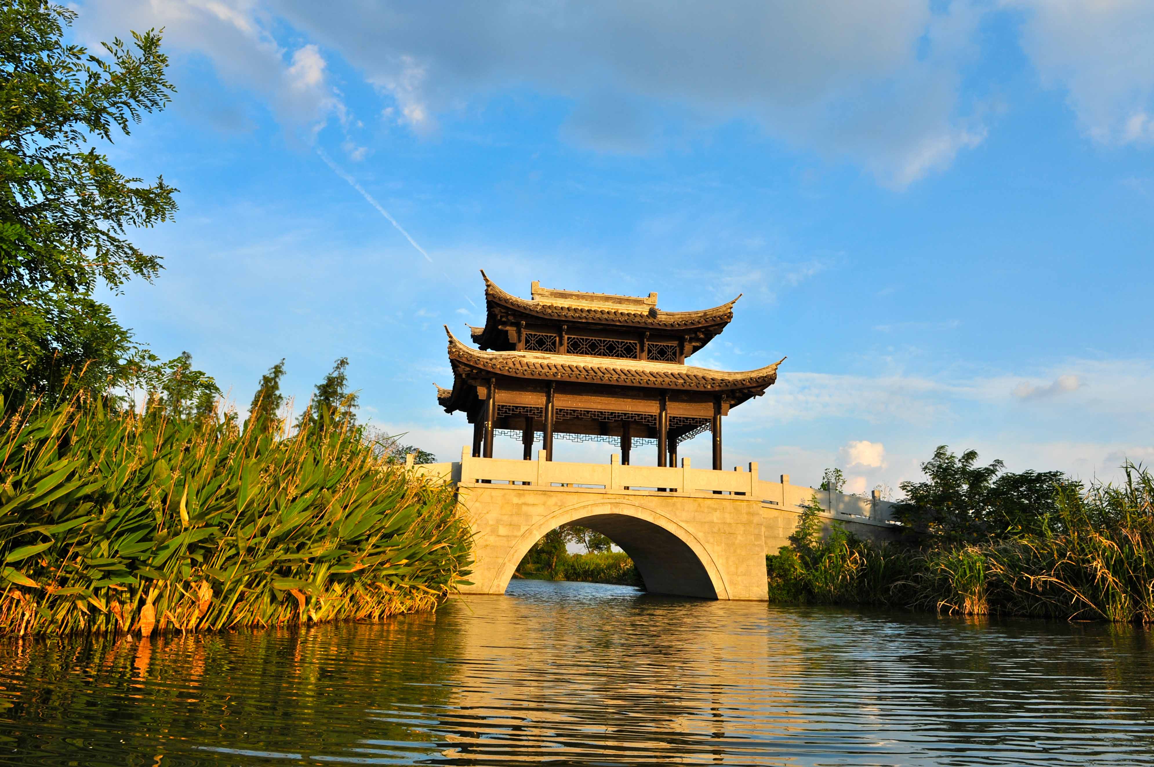 公园内景2.jpg